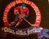 Rīgas Sergeja Žoltoka  vidusskolas logo